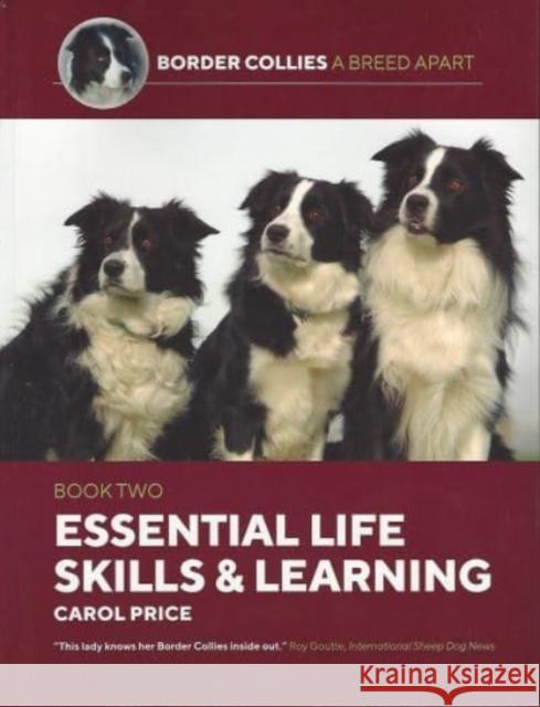 Life Skills and Learning Carol Price 9781910488508 Corpus Publishing Limited - książka