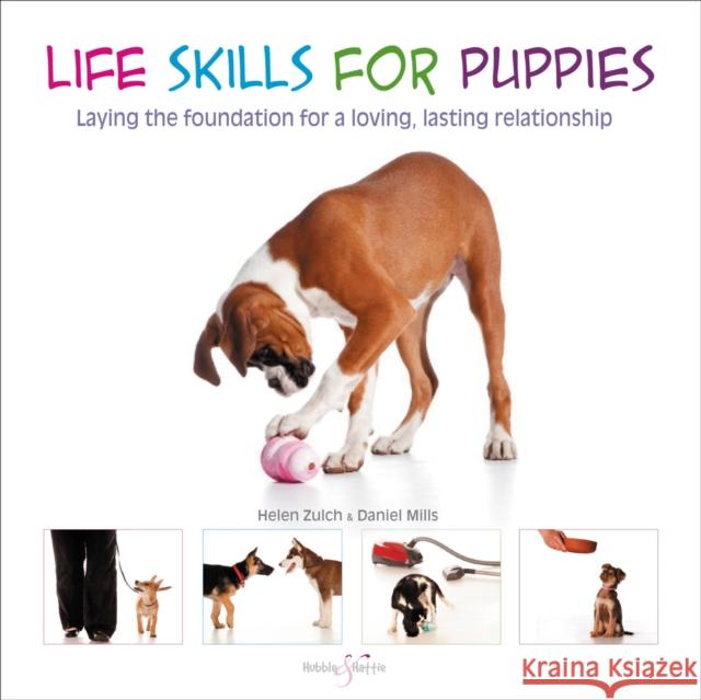 Life Skills for Puppies: Laying the Foundation for a Loving, Lasting Relationship Peter Baumber 9781787113855 David & Charles - książka