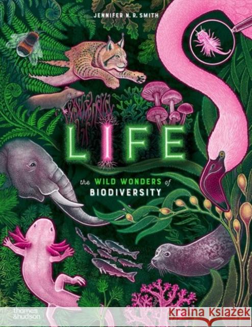 Life: The wild wonders of biodiversity Jennifer N. R. Smith 9780500653357 Thames & Hudson - książka