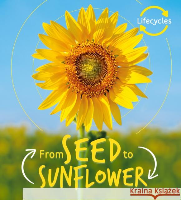 Lifecycles: Seed to Sunflower Camilla de la Bedoyere 9781786036209 Frances Lincoln Publishers Ltd - książka