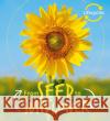 Lifecycles: Seed to Sunflower Camilla de la Bedoyere 9781786036209 Frances Lincoln Publishers Ltd
