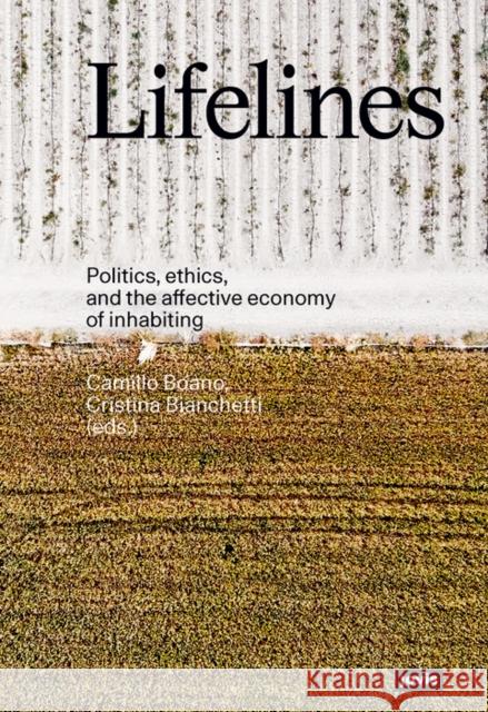 Lifelines: Politics, Ethics, and the Affective Economy of Inhabiting Boano, Camillo 9783868597530 Jovis - książka