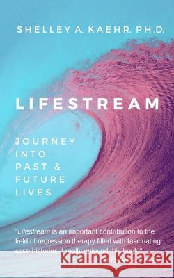 Lifestream: Journey Into Past & Future Lives Kaehr, Shelley 9780971934030 Out of This World Publishing - książka