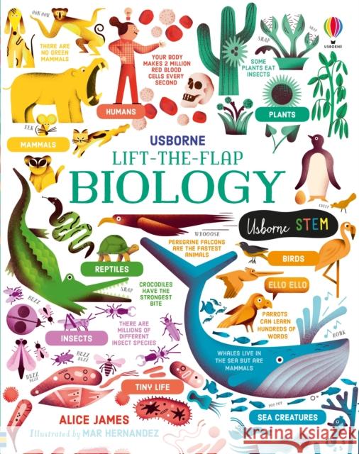 Lift-the-Flap Biology Alice James Mar Hernandez  9781474969154 Usborne Publishing Ltd - książka