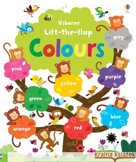 Lift-the-flap Colours Felicity Brooks 9781409540571 Usborne Publishing Ltd - książka