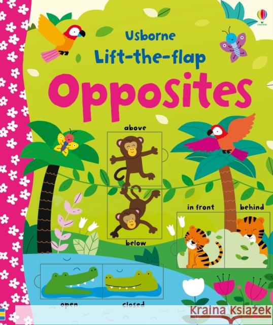 Lift-the-flap Opposites Felicity Brooks 9781409582588 Usborne Publishing Ltd - książka