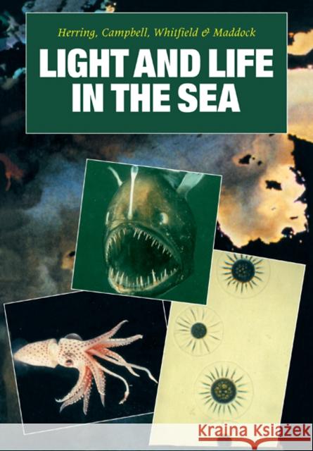 Light and Life in the Sea Peter J. Herring Anthony K. Campbell Michael Whitfield 9780521105484 Cambridge University Press - książka