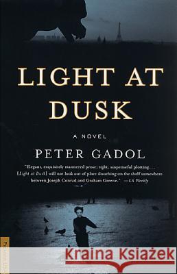Light at Dusk Peter Gadol 9780312280802 Picador USA - książka