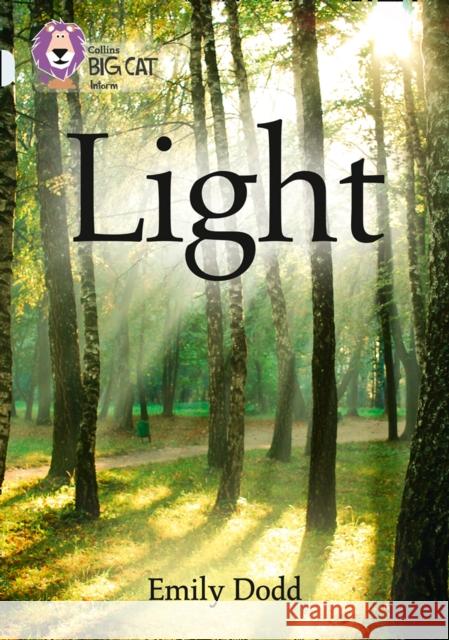 Light: Band 17/Diamond Emily Dodd 9780008163990 HarperCollins Publishers - książka