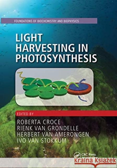 Light Harvesting in Photosynthesis  9780367781491 Taylor and Francis - książka