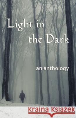 Light in the Dark Gill James 9781907335372 Bridge House - książka