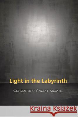 Light in the Labyrinth Constantino Vincent Riccardi 9781625640284 Resource Publications (OR) - książka