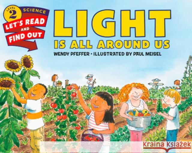 Light Is All Around Us Wendy Pfeffer Paul Meisel 9780062381903 Harpercoll - książka