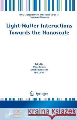 Light-Matter Interactions Towards the Nanoscale  9789402421378 Springer Netherlands - książka