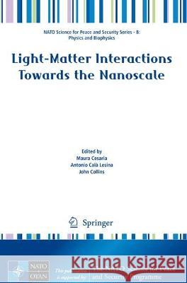 Light-Matter Interactions Towards the Nanoscale  9789402421408 Springer Netherlands - książka