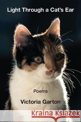 Light Through a Cat's Ear Victoria Garton 9781639807802 Kelsay Books - książka