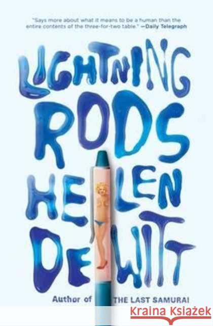 Lightning Rods Helen DeWitt 9781908276292 And Other Stories - książka