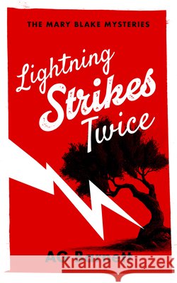 Lightning Strikes Twice: A Fiesty Female Detective Murder Mystery A.G. Barnett 9781036713393 Vinci Books Ltd - książka