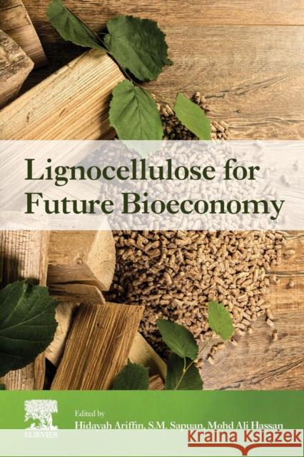 Lignocellulose for Future Bioeconomy Hidayah Ariffin S. M. Sapuan Mohd Ali Hassan 9780128163542 Elsevier - książka