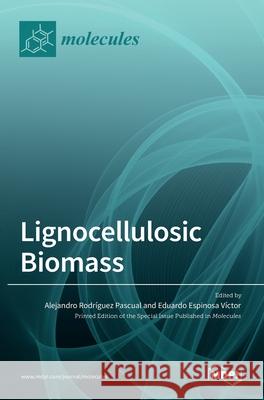 Lignocellulosic Biomass Alejandro Rodr Pascual Eduardo Espinosa V 9783036524757 Mdpi AG - książka