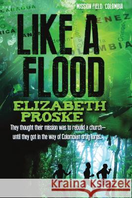 Like A Flood Proske, Elizabeth 9780692712528 Set Apart Press - książka