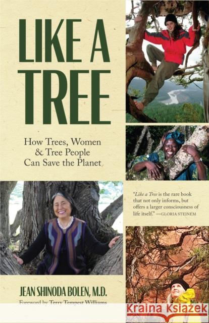 Like a Tree: How Trees, Women, and Tree People Can Save the Planet (Ecofeminism, Environmental Activism) Bolen, Jean Shinoda 9781642504064 Conari Press - książka
