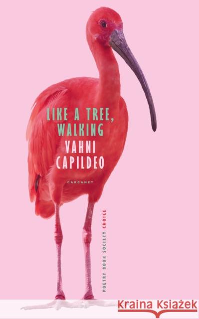 Like a Tree, Walking Vahni Capildeo 9781800171954 Carcanet Press Ltd - książka