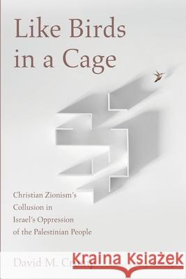 Like Birds in a Cage David M. Crump Gary M. Burge 9781725269576 Cascade Books - książka