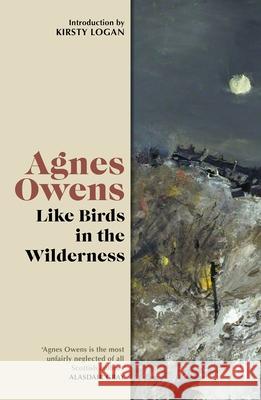 Like Birds in the Wilderness Agnes Owens 9781846977596 Birlinn General - książka