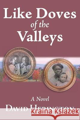 Like Doves of the Valleys David Herington   9781959346043 Redhawk Publications - książka