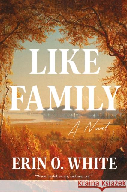 Like Family: A Novel Erin O. White 9780593978559 Dial Press - książka