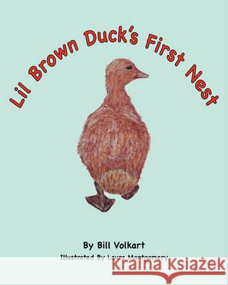 Lil Brown Duck's First Nest Bill Volkart Laura Montgomery 9781461018247 Createspace - książka