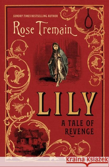 Lily: A Tale of Revenge from the Sunday Times bestselling author Rose Tremain 9781784744564 Vintage Publishing - książka