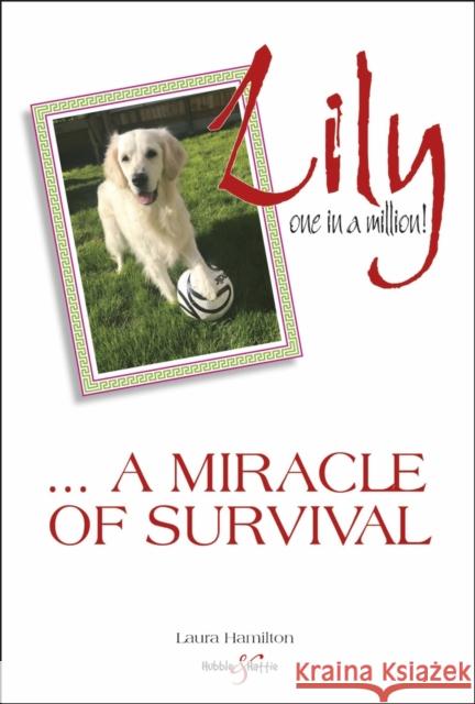 Lily: One in a Million: ... a Miracle of Survival Laura Hamilton 9781787111479 David & Charles - książka