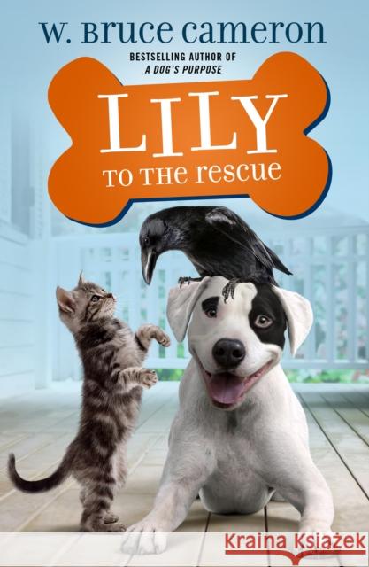 Lily to the Rescue W. Bruce Cameron 9781250234353 Starscape Books - książka
