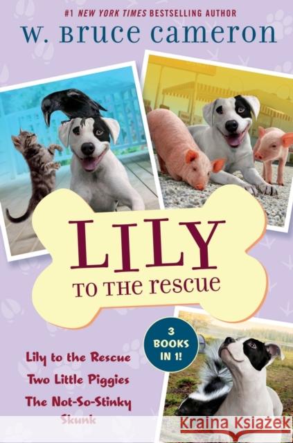 Lily to the Rescue Bind-Up Books 1-3: Lily to the Rescue, Two Little Piggies, and The Not-So-Stinky Skunk W. Bruce Cameron 9781250867650 Starscape Books - książka