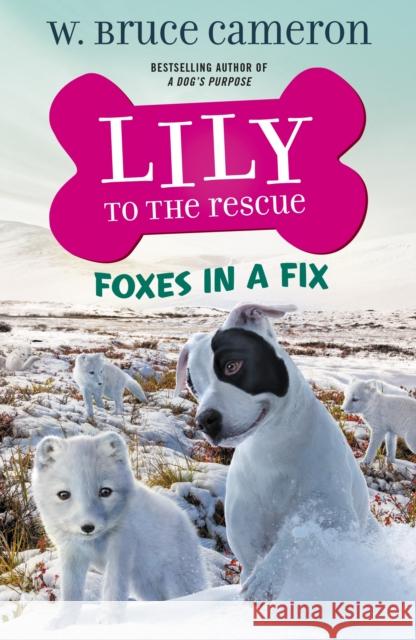 Lily to the Rescue: Foxes in a Fix W. Bruce Cameron Jennifer L. Meyer 9781250762726 Starscape Books - książka