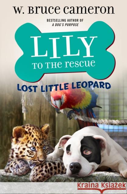 Lily to the Rescue: Lost Little Leopard W. Bruce Cameron Jennifer L. Meyer 9781250762566 Tor Teen - książka