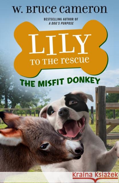 Lily to the Rescue: The Misfit Donkey W. Bruce Cameron Jennifer L. Meyer 9781250762689 Tor Teen - książka