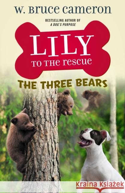 Lily to the Rescue: The Three Bears W. Bruce Cameron Jennifer L. Meyer 9781250762511 Starscape Books - książka