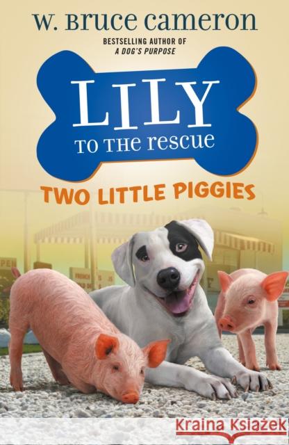 Lily to the Rescue: Two Little Piggies W. Bruce Cameron 9781250234452 Starscape Books - książka