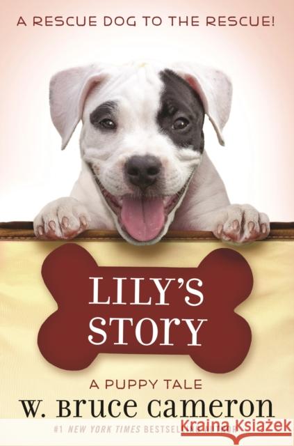 Lily's Story: A Puppy Tale Cameron, W. Bruce 9781250213518 Starscape Books - książka