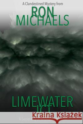 Limewater JCT Michaels, Ron 9781512183344 Createspace - książka