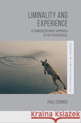 Liminality and Experience: A Transdisciplinary Approach to the Psychosocial Stenner, Paul 9781137272102 Palgrave MacMillan - książka