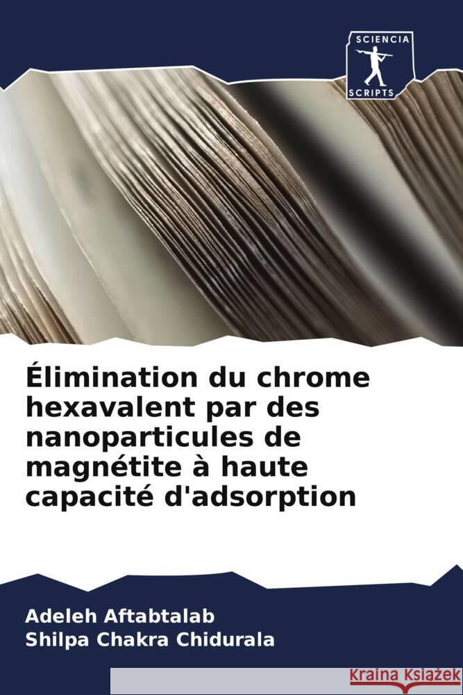 Élimination du chrome hexavalent par des nanoparticules de magnétite à haute capacité d'adsorption Aftabtalab, Adeleh, Chidurala, Shilpa Chakra 9786209358715 Sciencia Scripts - książka