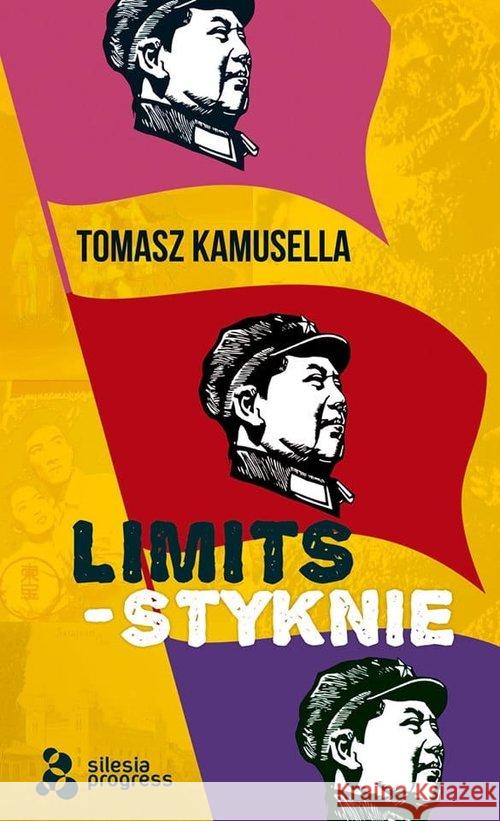 Limits - Styknie Kamusella Tomasz 9788365558282 Silesia Progress - książka