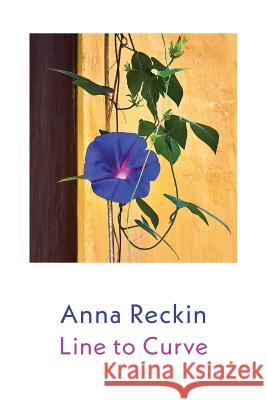 Line to Curve Anna Reckin 9781848615809 Shearsman Books - książka