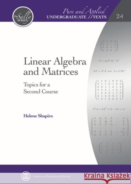 Linear Algebra and Matrices Topics for a Second Course Shapiro, Helene 9781470418526 Pure and Applied Undergraduate Texts - książka