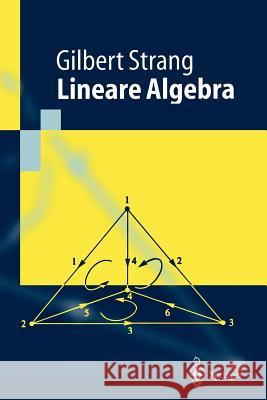 Lineare Algebra Gilbert Strang, M. Dellnitz 9783540439493 Springer-Verlag Berlin and Heidelberg GmbH &  - książka