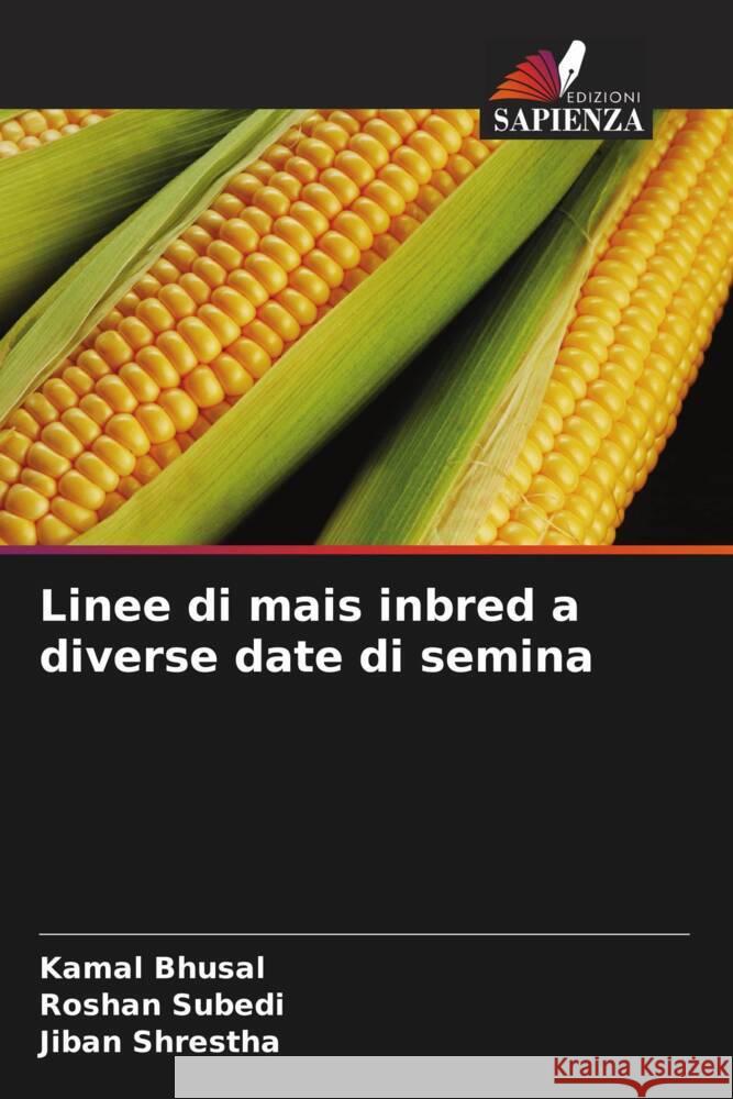 Linee di mais inbred a diverse date di semina Bhusal, Kamal, Subedi, Roshan, Shrestha, Jiban 9786208562007 Edizioni Sapienza - książka